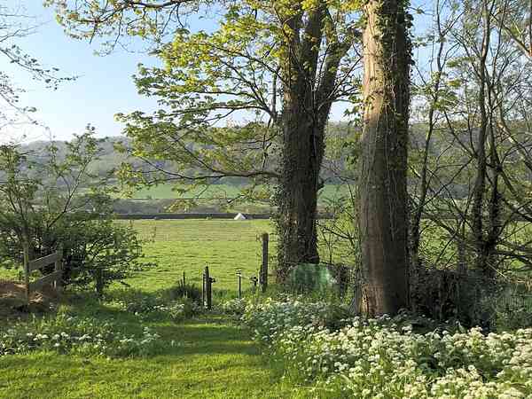 Emplacement (Meadow) sur herbe sans électricité