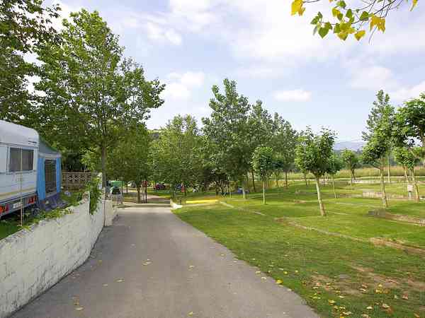 Emplacement sur herbe avec électricité optionnelle (confort)