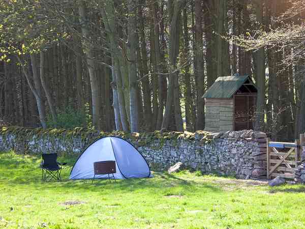 Exclusive non-electric forest floor tent pitch (private bathroom amenities, wild)