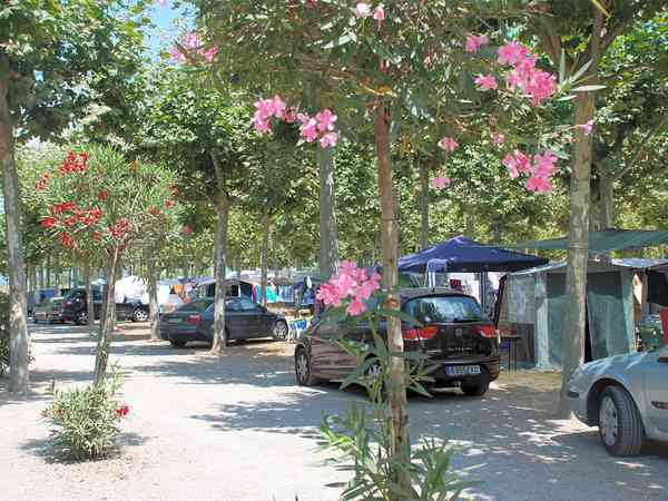 Comfort pitch with optional electric Comfort pitch with optional electric
