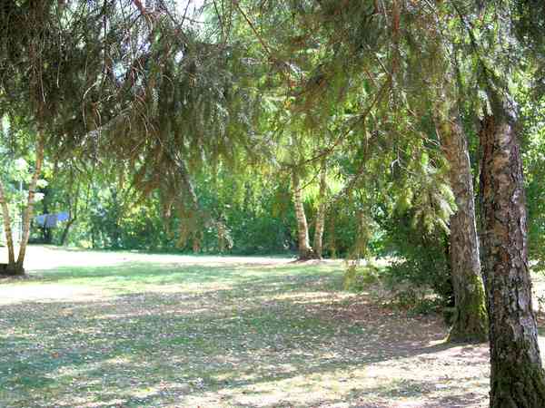 Power optional grass site