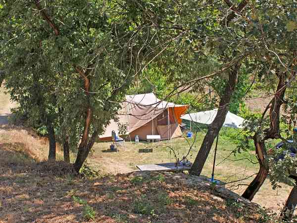 Electric optional grass tent or trailer tent pitch (no pets)