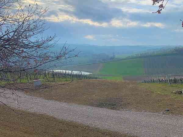 Electric gravel and earth pitch (XL)