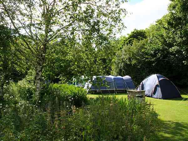 Electric optional grass tent pitch (four person)