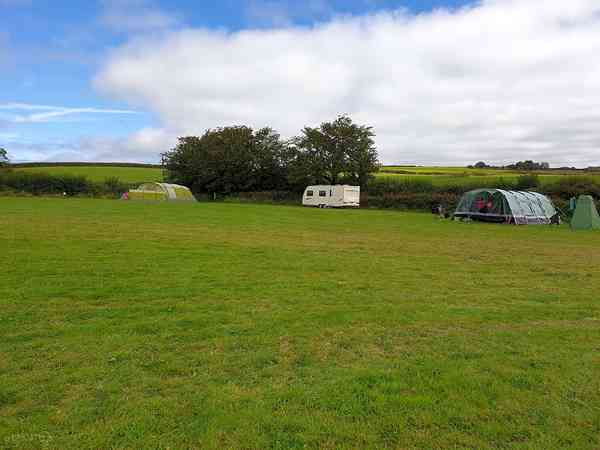 Non-electric grass pitch (adults only)