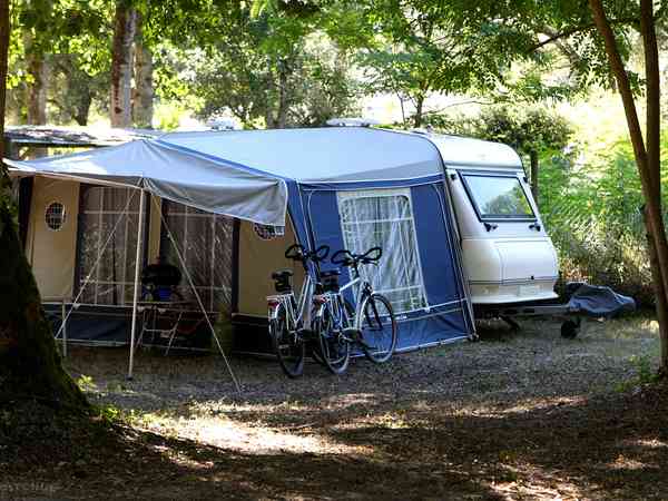 Emplacement pour caravane sur sol forestier avec électricité
