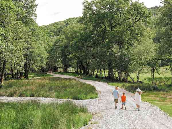 Non-electric hardstanding and grass tent or campervan pitch