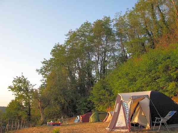 Electric optional grass tent pitch