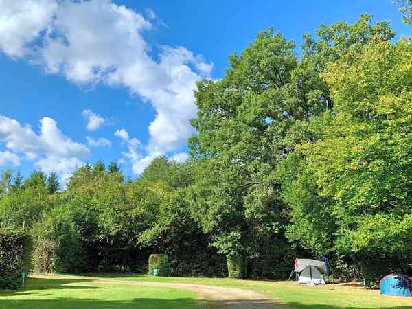 Emplacement pour tente ou pour caravane pliante sur herbe et sur sol en terre avec électricité