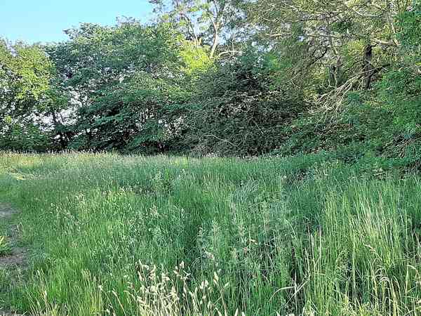Staplaats voor een tent of voor vouwwagen op gras en aarde zonder elektriciteit (wild)