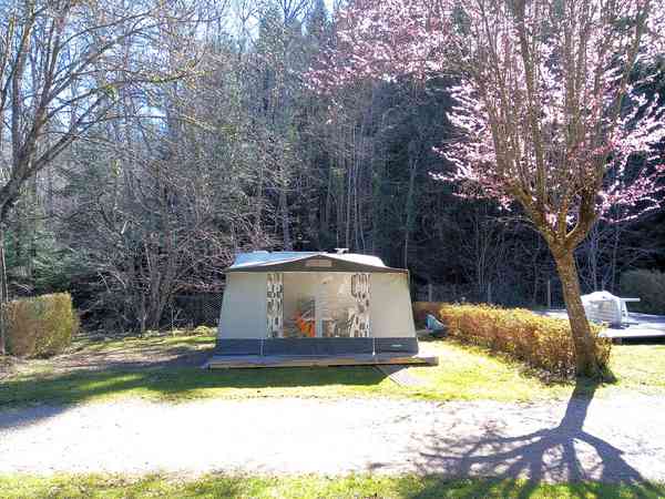 Caravane statique Starlett