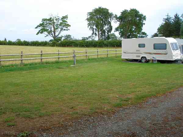Grassy pitches Grassy pitches