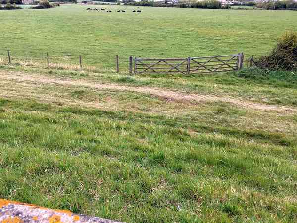 Non-electric asphalt and grass campervan pitch