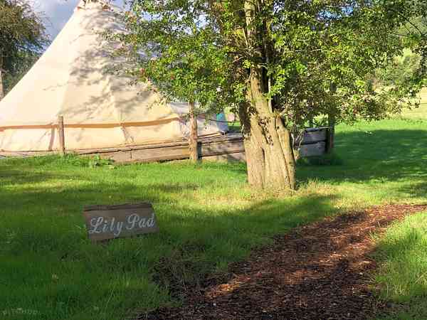 Lilypad bell tent
