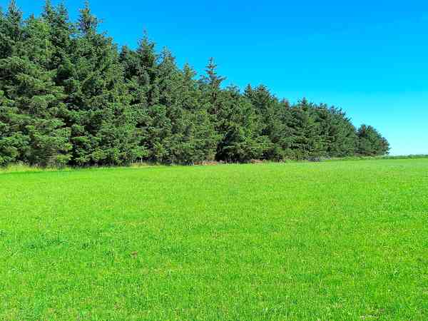 Non-electric grass tent pitch