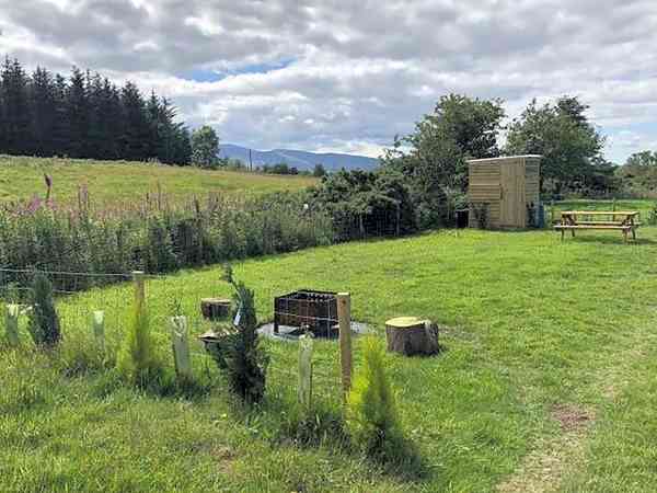 Grasbewachsener Zelt-Stellplatz Foxglove ohne Stromanschluss