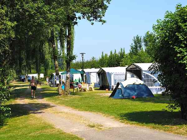 Electric grass pitch