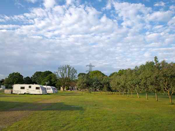 Electric grass pitch