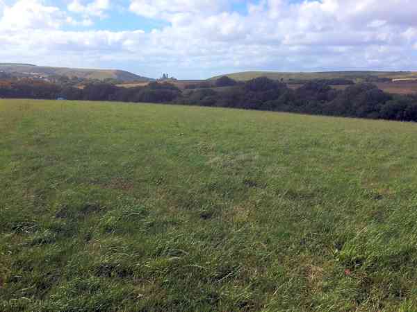 Large grass pitches Large grass pitches