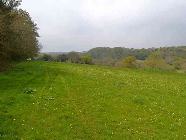 Primitive grass tent site