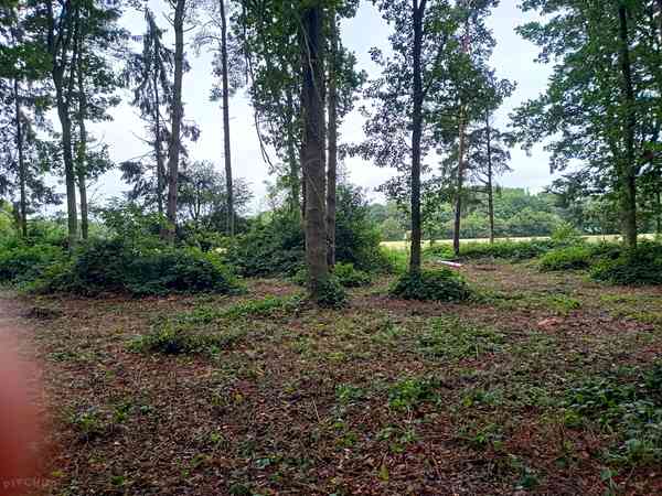 Non-electric forest floor tent pitch