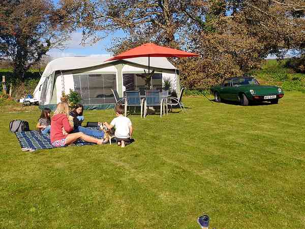 Electric grass pitch (large)
