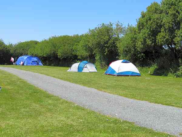 Non-electric grass tent or trailer tent pitch
