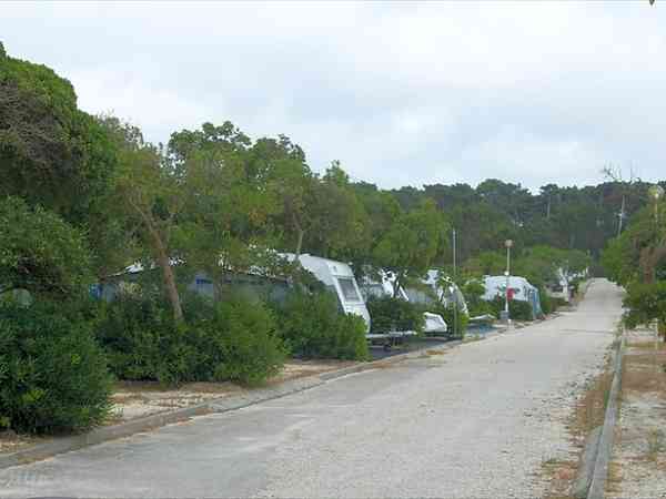 Electric optional tent or trailer tent pitch (large)