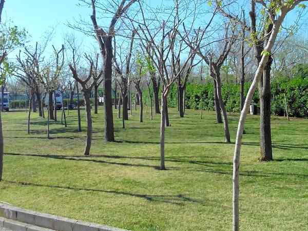 Electric optional grass and sand tent or trailer tent pitch