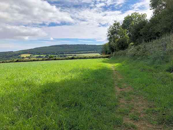 Meadow non-electric grass and earth tent or trailer tent pitch (wild)