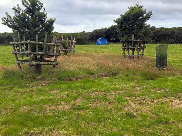 Emplacement pour tente ou camping-car sur herbe sans électricité