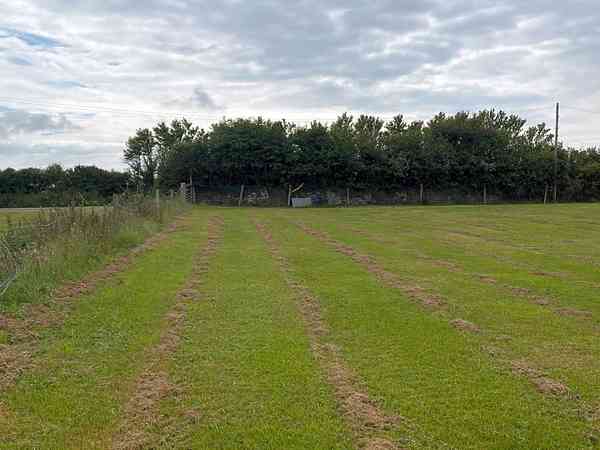Emplacement pour tente ou pour caravane pliante sur herbe sans électricité