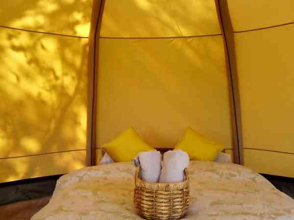 Grand Canopy rental tent