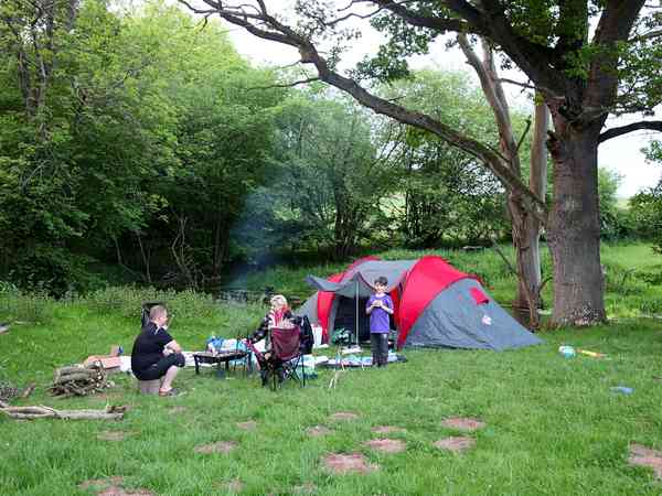 Orchard non-electric grass tent pitch