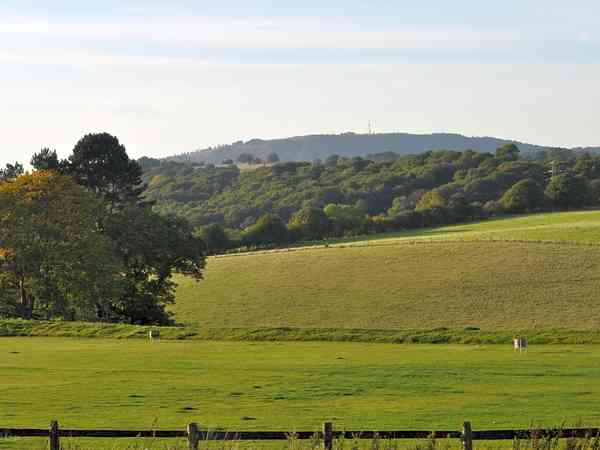 Primrose field power optional grass tent site