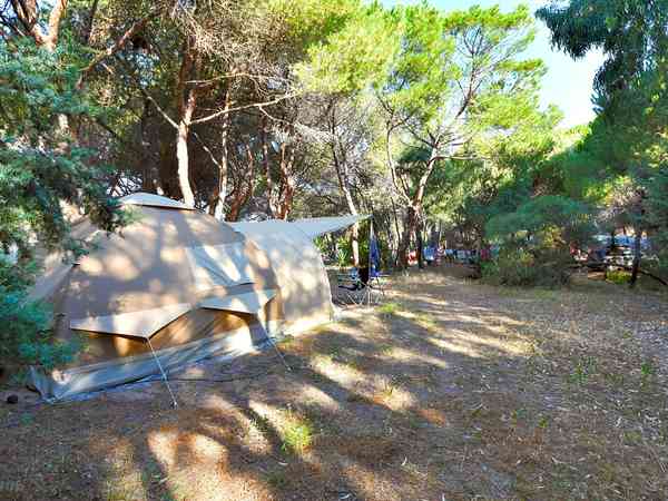Fully-serviced forest floor pitch