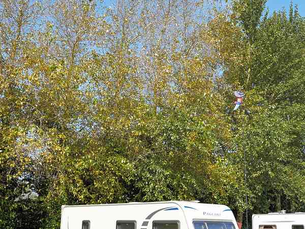 Electric grass touring pitch (pet friendly)