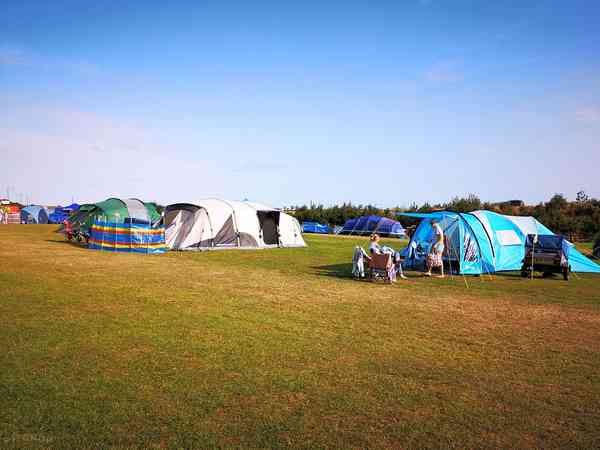 Morning campers! Morning campers!