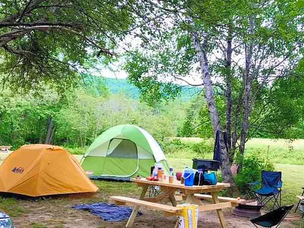 Non-electric grass and gravel tent pitch (maximum 4 adults)