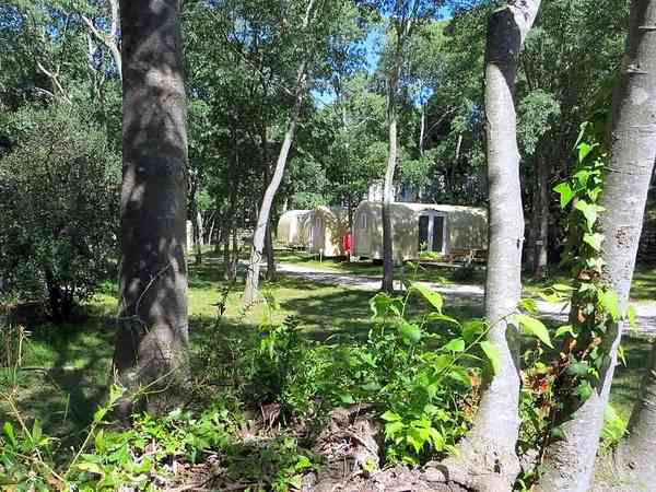 Coco Sweet 2 bedroom camping pod