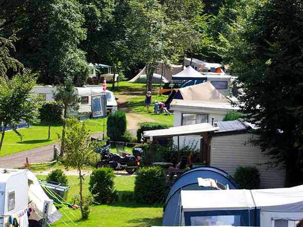 Electric optional grass tent, trailer tent or touring caravan pitch