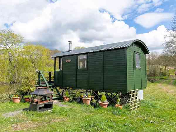 Roach shepherd's hut