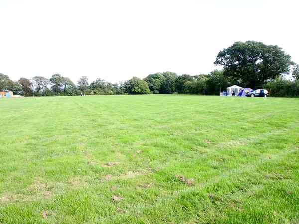 Primitive grass site