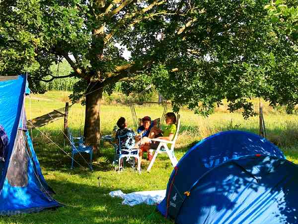 Non-electric grass tent, trailer tent or campervan pitch