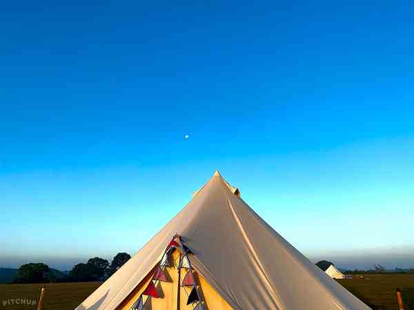 Bell tent (maximum 4 adults)