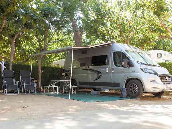 Spacious, shaded pitch Spacious, shaded pitch