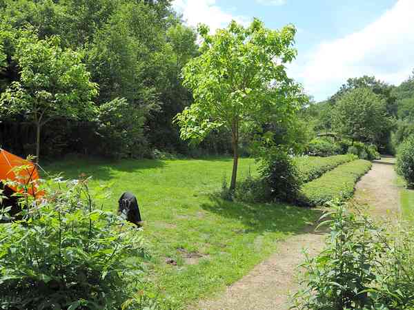 Electric optional grass and earth tent, trailer tent or touring caravan pitch (riverside)