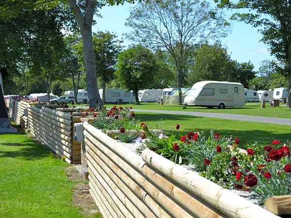 Electric grass pitch