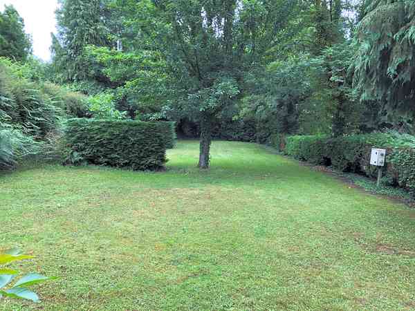 Grasbewachsener Stellplatz mit Stromanschluss