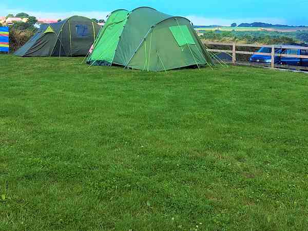Electric optional grass tent, trailer tent or campervan pitch